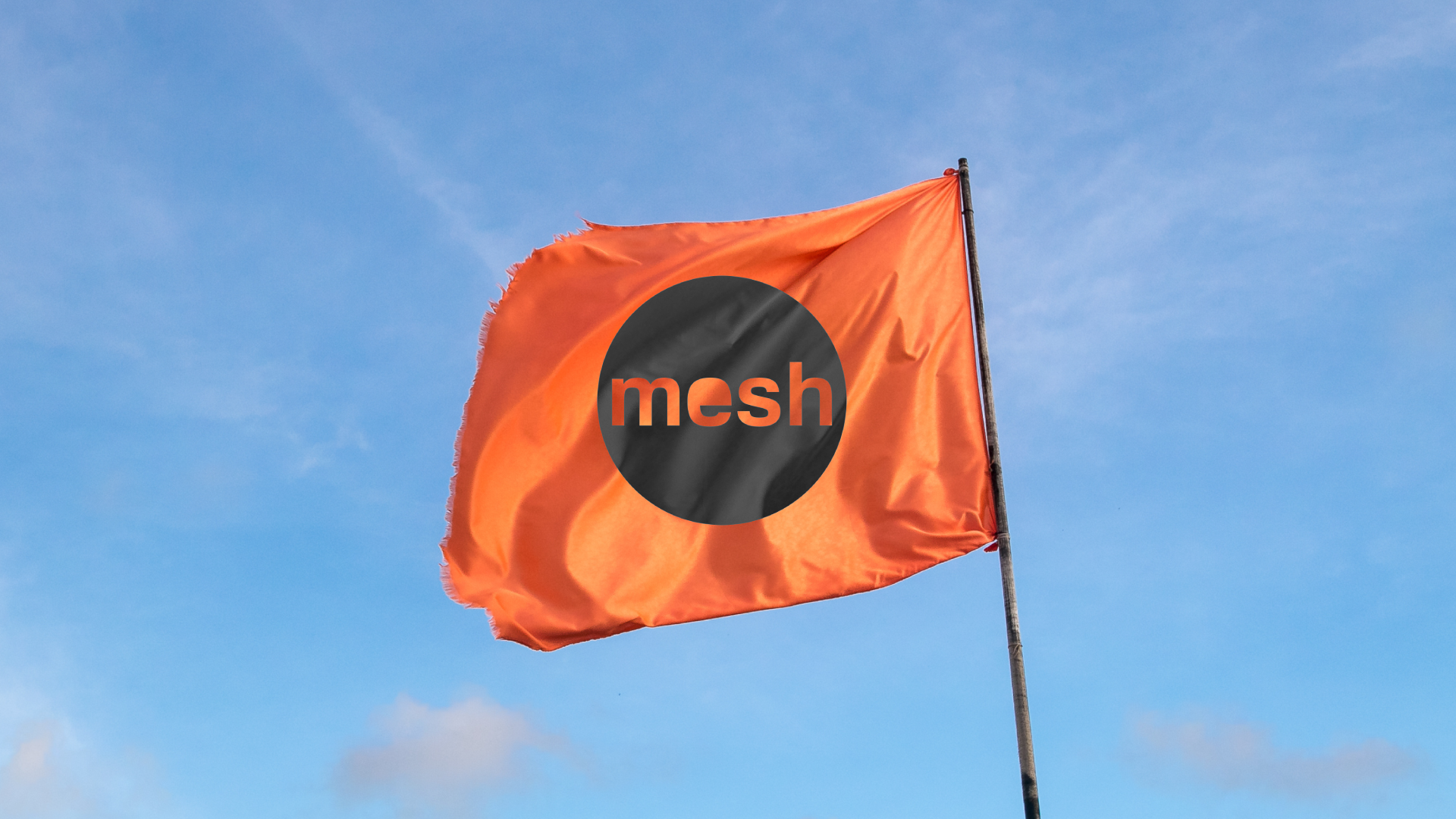 WHat is the Mesh News Project's New Logo? // www.meshnews.org